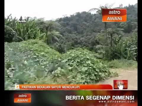 Pastikan bekalan sayur mencukupi