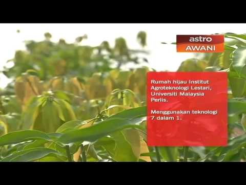 Transformasi usahawan tani melalui pembiayaan mikro kredit