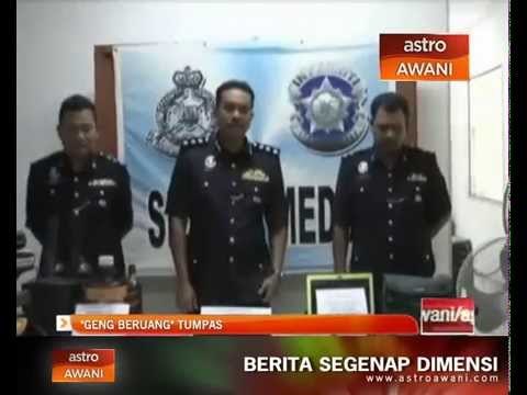 'Geng Beruang' tumpas