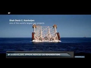 PetDag & the weekly petrol APM are a match made in heaven