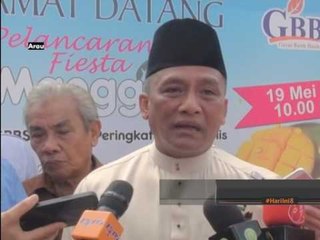 Harumanis hak eksklusif untuk Perlis