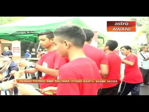 Denggi Patrol SMK Saujana Utama bantu basmi Aedes