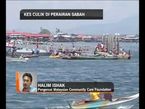 Kes culik di perairan Sabah