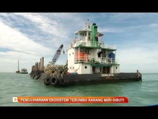 Pemuliharan ekosistem terumbu karang Miri - Sibuti