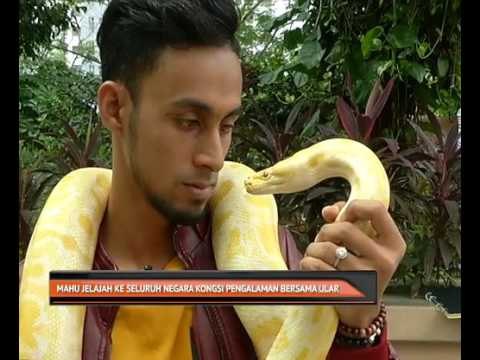 Mahu jelajah ke seluruh negara kongsi pengalaman bersama ular