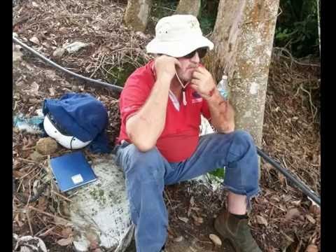 Pesawat ringan terhempas di kebun sayur