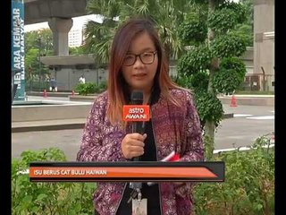 Isu berus cat bulu haiwan