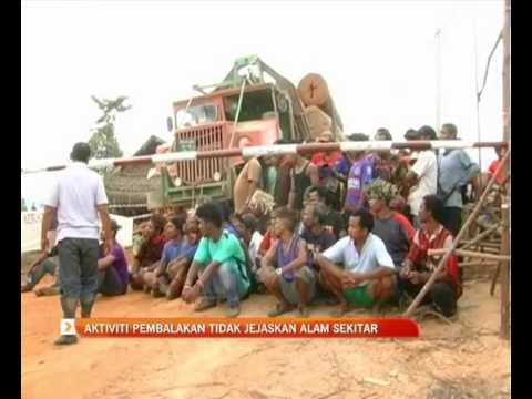 Aktiviti pembalakan tidak jejaskan alam sekitar