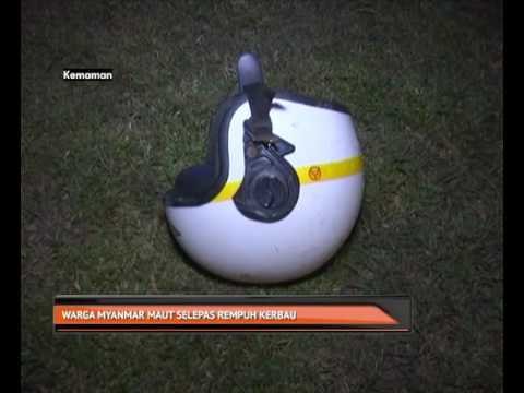 Warga Myanmar maut selepas rempuh kerbau