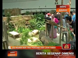 Zoo Negara beri tiket percuma hari lahir panda