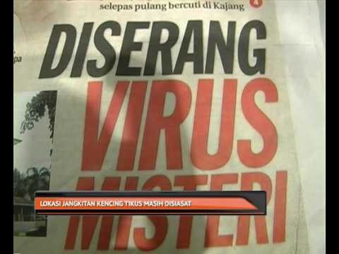 Lokasi jangkitan kencing tikus masih disiasat