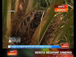 Palm oil rises for 5th day on strong demand