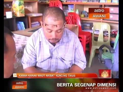 Kanak-kanak maut akibat kencing tikus