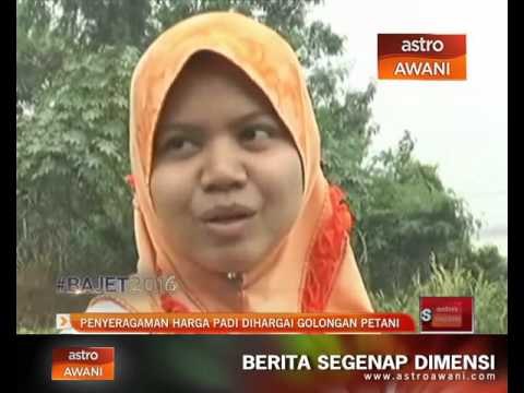 Bajet 2016: Penyeragaman harga padi dihargai golongan petani