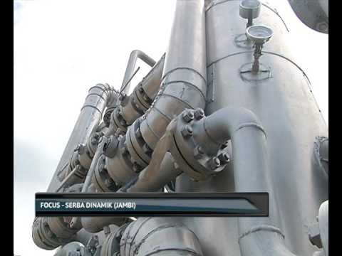 Focus - Serba Dinamik (Jambi)