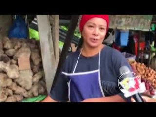 #AWANIJr: Kenduri ubi di musim hujan