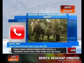 Download Video: Pengeluaran sawit dijangka terjejas