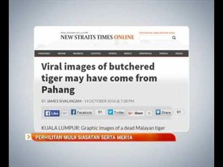 Perhilitan mula siasatan serta merta