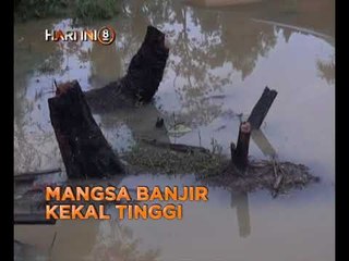 Fokus Hari Ini 8: Mangsa banjir kekal tinggi