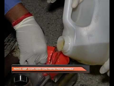 Inovasi ABBF: Basmi aedes guna minyak masak terpakai