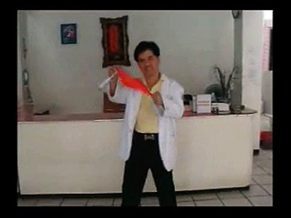 SILK VANISH by Dr. Gertes