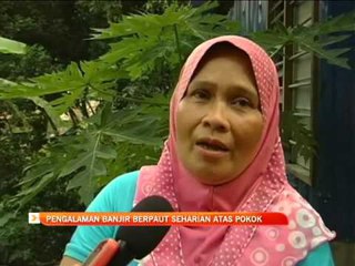 Pengalaman banjir berpaut seharian atas pokok