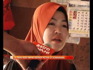 El Nino beri impak kepada petani di kundasang