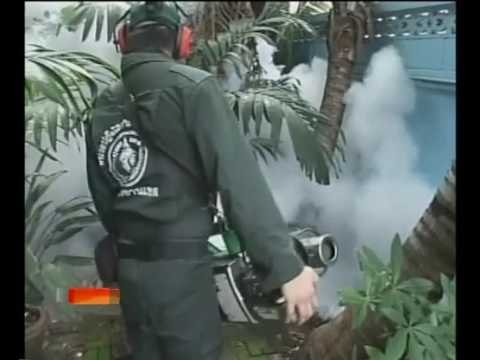 132 kematian akibat denggi sejak Januari lalu