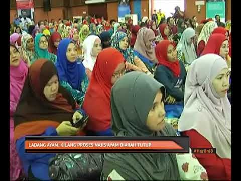 Ladang ayam, kilang proses najis ayam diarah tutup
