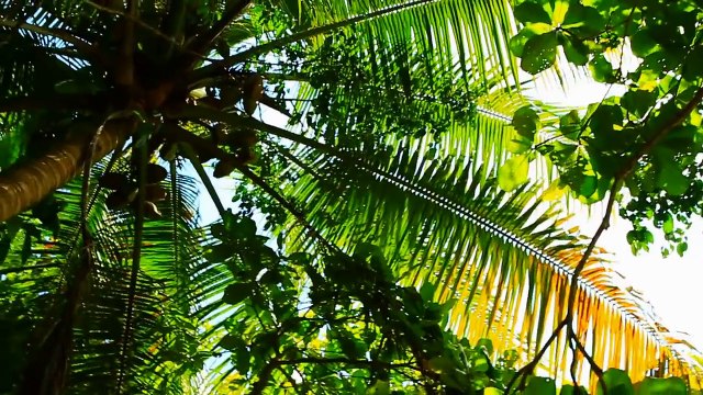 Barry Strudwick | Investing In Real Estate Investors