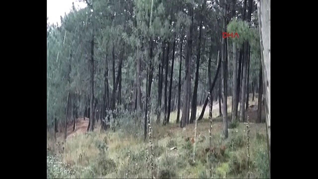 İstanbul'da beklenen kar yağışı başladı