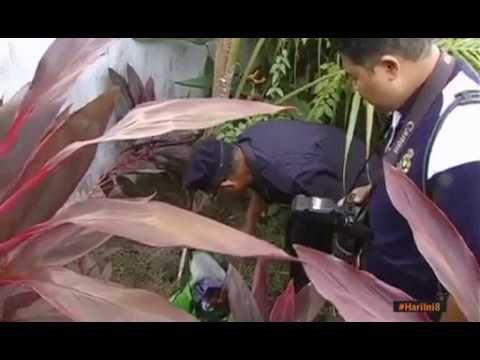 Selangor catat kes buang bayi tertinggi dalam tempoh dua tahun