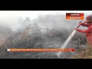 200 NGO fail notif kepada pembakaran hutan