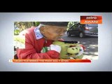 Lelaki tua Winnie The Pooh ada 7 isteri