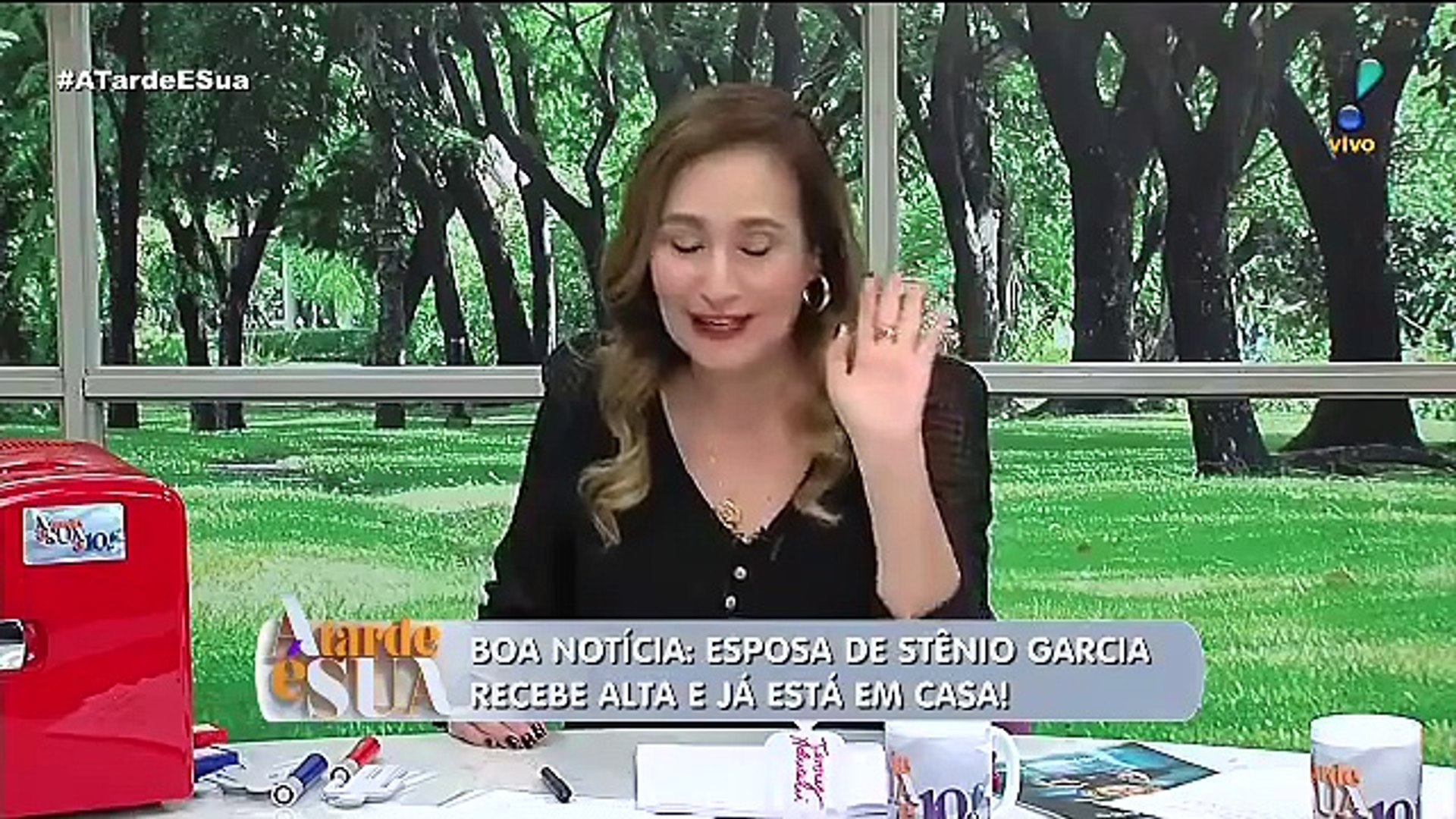 Sonia Abrão sobre Emilly Menina malandra, sabia o que estava fazendo