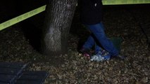 Parkta Yürüyüşe Çıkan Vatandaşlar, Ağaca Asılı Halde Ceset Buldu