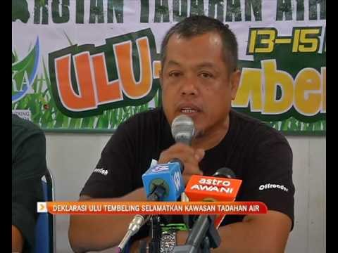 Deklarasi Ulu Tembeling selamatkan kawasan tadahan air