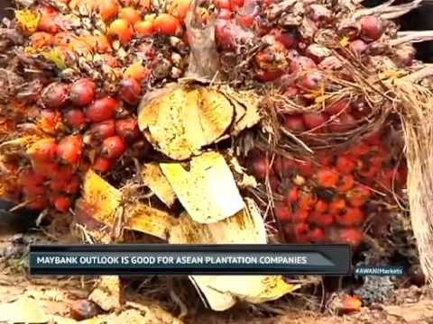 Bull on regional plantations & consumer