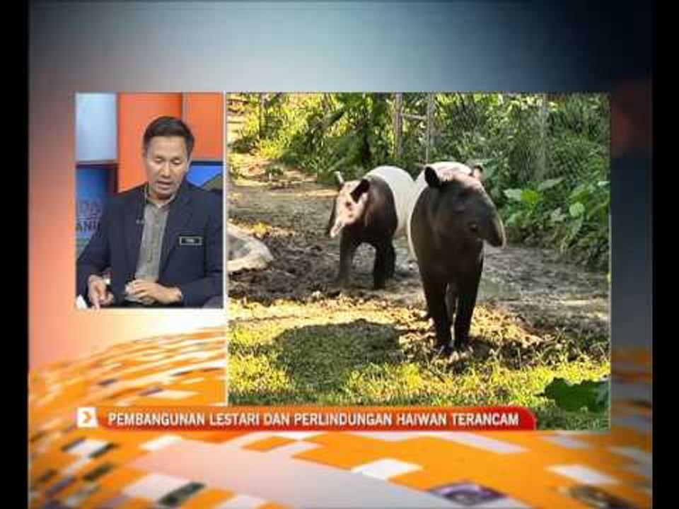 Agenda AWANI: Pembangunan lestari dan perlindungan haiwan terancam