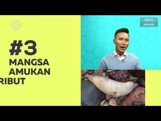 Kompak (Episod 76): Penyewa dajal, pancing makan tuan