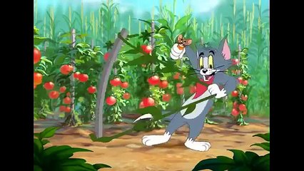 Cartoons For Kids Tom And Jerry English Episodes - Summer Squashing  - Cartoons For Kids Tv