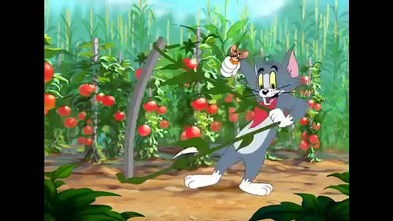 Cartoons For Kids Tom And Jerry English Episodes - Summer Squashing  - Cartoons For Kids Tv