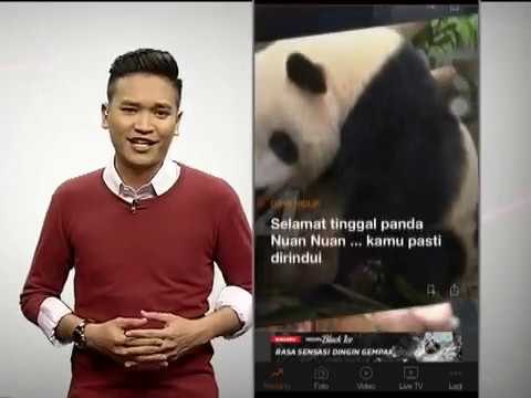 AWANI XPress: Selamat Tinggal Panda Nuan Nuan & Bantahan Penganjuran Pesta Arak