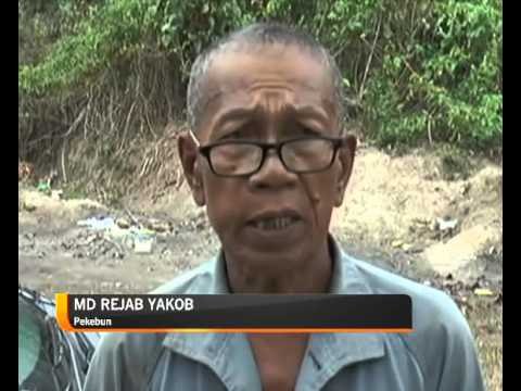 Tanaman buah-buahan terjejas teruk akibat El-Nino