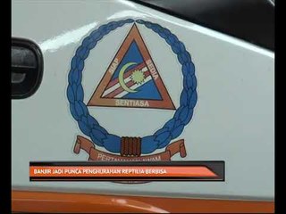 Banjir jadi punca penghijrahan reptilia berbisa