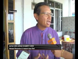 Pemeriksaan dapati beras dihasilkan kilang adalah asli
