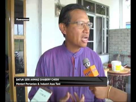 Pemeriksaan dapati beras dihasilkan kilang adalah asli