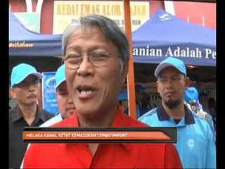 Melaka kawal ketat kemasukan lembu import