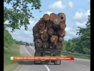 Sumber air Orang Asli tercemar akibat pembalakan