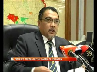 Sindiket teroka hutan haram di Kelantan